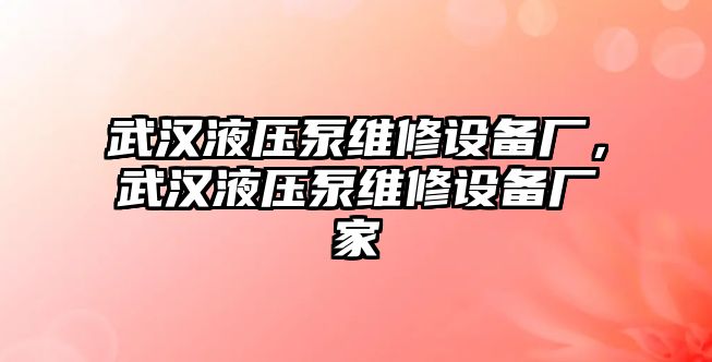 武漢液壓泵維修設(shè)備廠，武漢液壓泵維修設(shè)備廠家