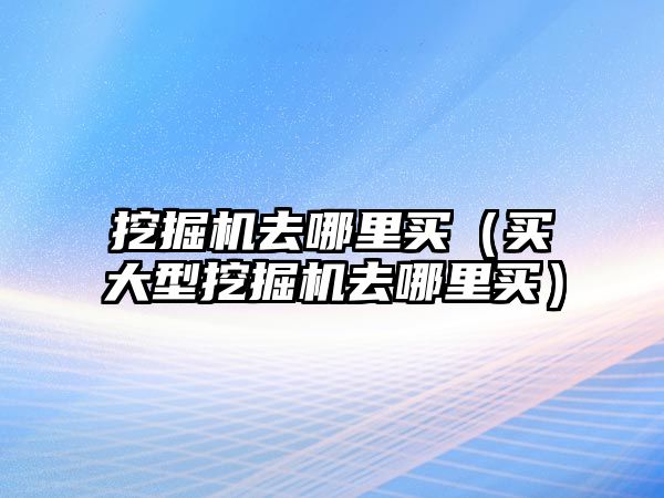 挖掘機去哪里買（買大型挖掘機去哪里買）