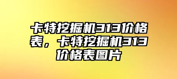 卡特挖掘機(jī)313價(jià)格表，卡特挖掘機(jī)313價(jià)格表圖片