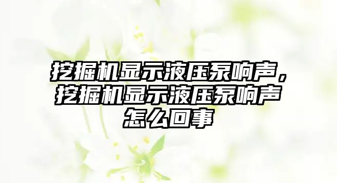 挖掘機(jī)顯示液壓泵響聲，挖掘機(jī)顯示液壓泵響聲怎么回事