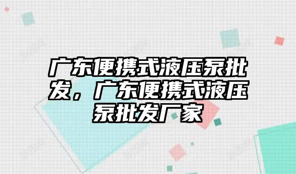 廣東便攜式液壓泵批發(fā)，廣東便攜式液壓泵批發(fā)廠家