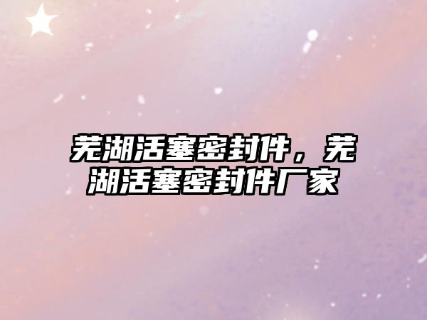 蕪湖活塞密封件，蕪湖活塞密封件廠家