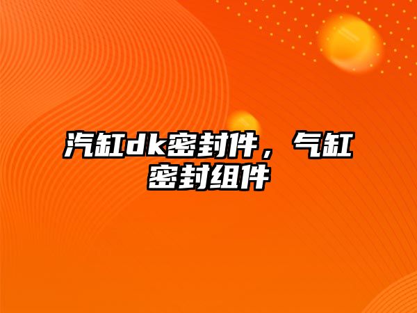 汽缸dk密封件，氣缸密封組件