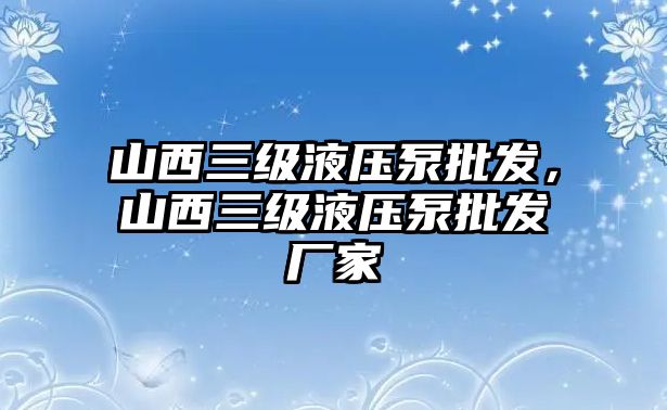 山西三級(jí)液壓泵批發(fā)，山西三級(jí)液壓泵批發(fā)廠家