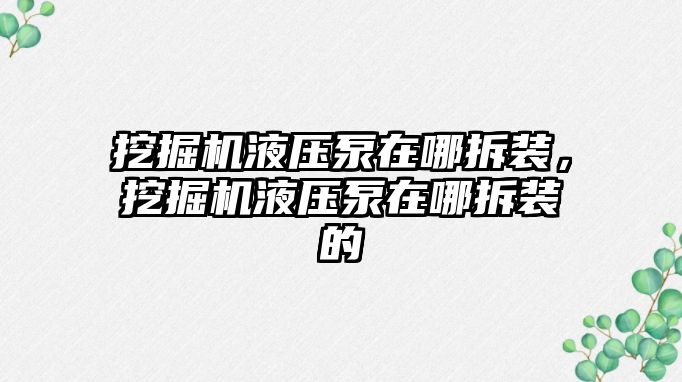 挖掘機液壓泵在哪拆裝，挖掘機液壓泵在哪拆裝的