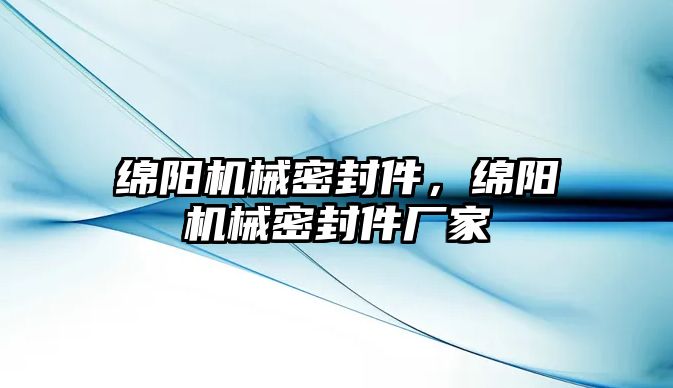 綿陽機械密封件，綿陽機械密封件廠家