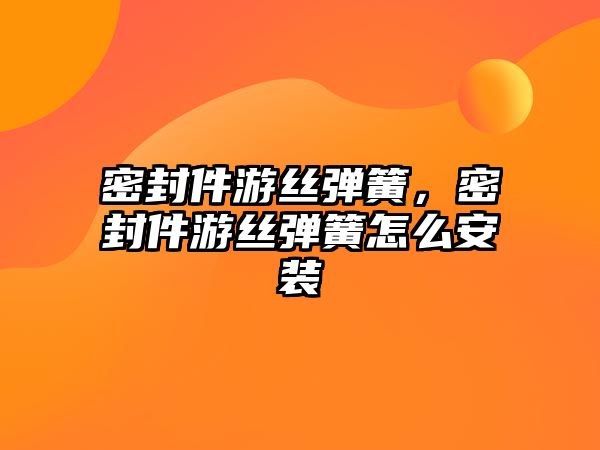 密封件游絲彈簧，密封件游絲彈簧怎么安裝