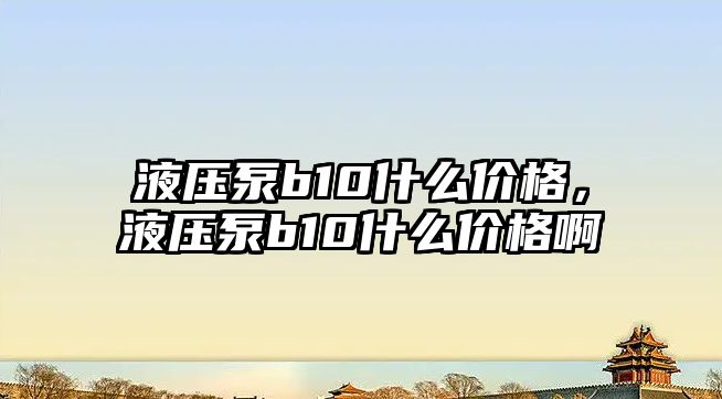 液壓泵b10什么價格，液壓泵b10什么價格啊