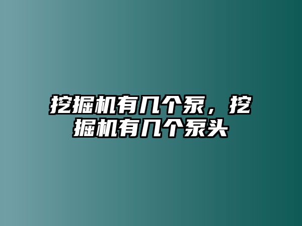 挖掘機有幾個泵，挖掘機有幾個泵頭