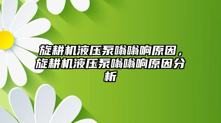 旋耕機液壓泵嗡嗡響原因，旋耕機液壓泵嗡嗡響原因分析