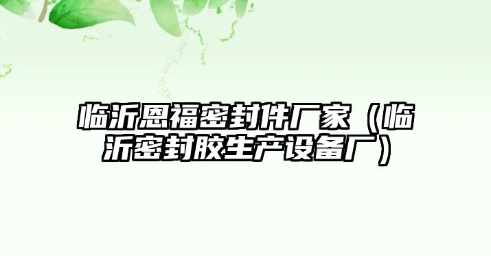 臨沂恩福密封件廠家（臨沂密封膠生產(chǎn)設(shè)備廠）