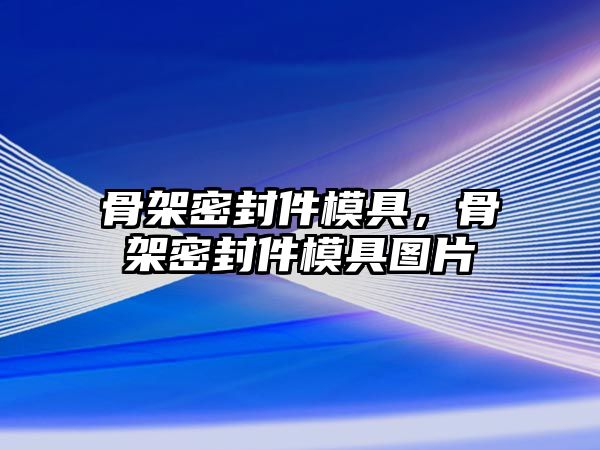 骨架密封件模具，骨架密封件模具圖片