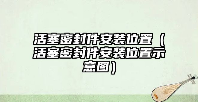 活塞密封件安裝位置（活塞密封件安裝位置示意圖）