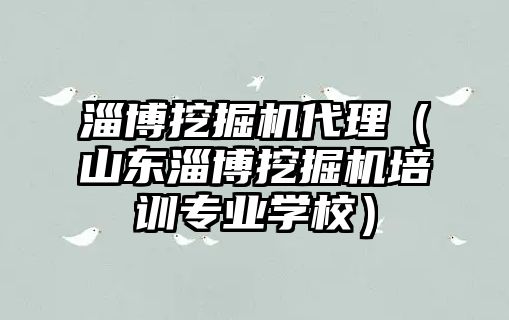 淄博挖掘機代理（山東淄博挖掘機培訓專業(yè)學校）