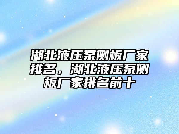 湖北液壓泵側(cè)板廠家排名，湖北液壓泵側(cè)板廠家排名前十