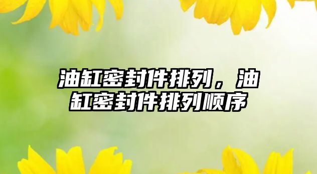 油缸密封件排列，油缸密封件排列順序