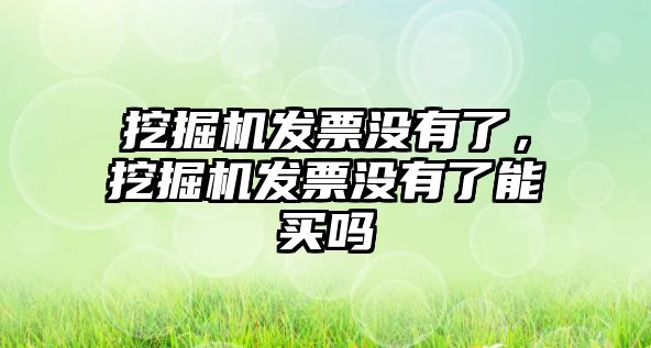 挖掘機發(fā)票沒有了，挖掘機發(fā)票沒有了能買嗎