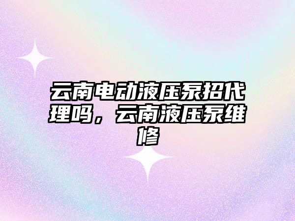 云南電動液壓泵招代理嗎，云南液壓泵維修