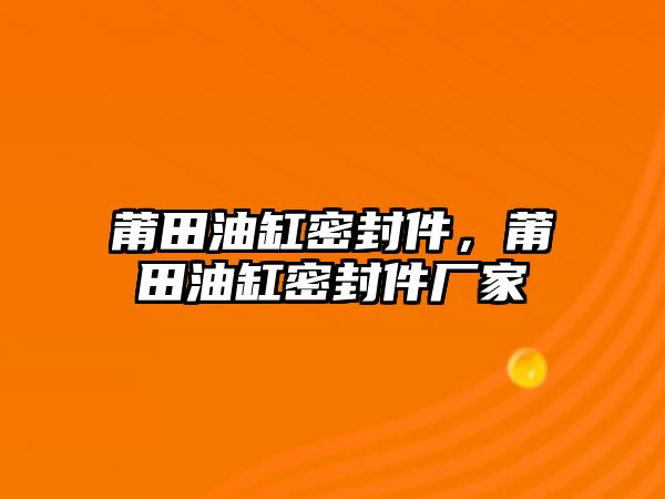 莆田油缸密封件，莆田油缸密封件廠家