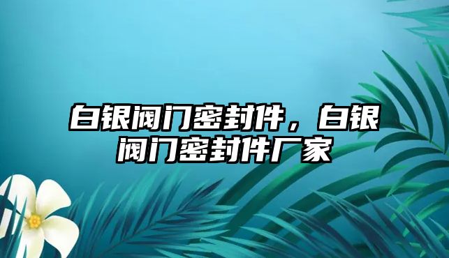 白銀閥門密封件，白銀閥門密封件廠家