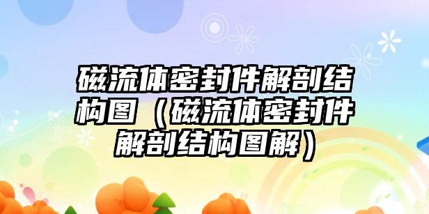 磁流體密封件解剖結構圖（磁流體密封件解剖結構圖解）