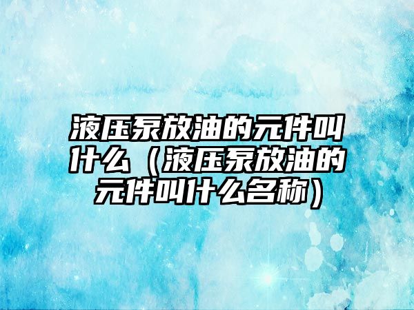 液壓泵放油的元件叫什么（液壓泵放油的元件叫什么名稱）