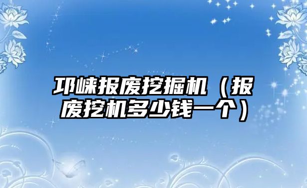 邛崍報廢挖掘機（報廢挖機多少錢一個）