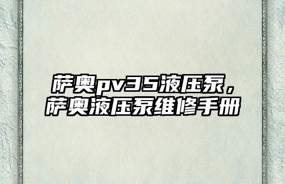 薩奧pv35液壓泵，薩奧液壓泵維修手冊(cè)