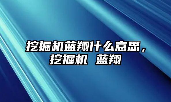 挖掘機藍翔什么意思，挖掘機 藍翔