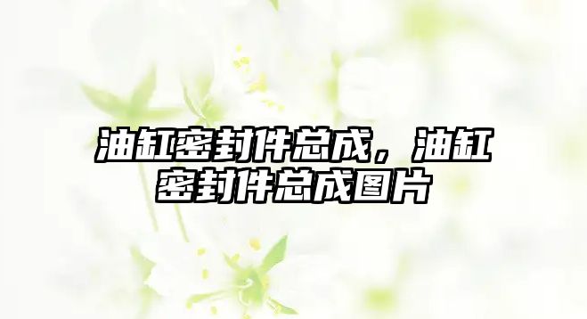 油缸密封件總成，油缸密封件總成圖片