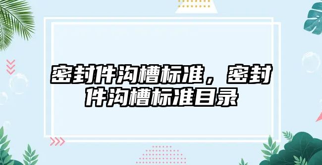 密封件溝槽標準，密封件溝槽標準目錄