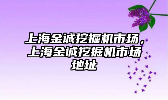 上海金誠挖掘機市場，上海金誠挖掘機市場地址