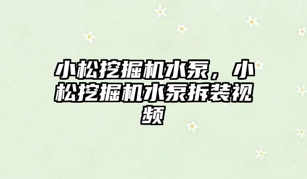 小松挖掘機水泵，小松挖掘機水泵拆裝視頻