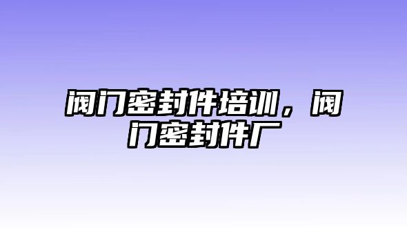 閥門密封件培訓，閥門密封件廠