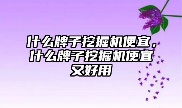 什么牌子挖掘機便宜，什么牌子挖掘機便宜又好用