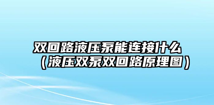 雙回路液壓泵能連接什么（液壓雙泵雙回路原理圖）