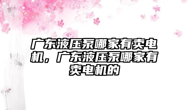 廣東液壓泵哪家有賣電機，廣東液壓泵哪家有賣電機的