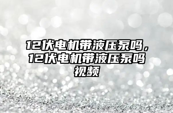 12伏電機帶液壓泵嗎，12伏電機帶液壓泵嗎視頻