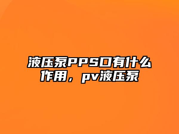 液壓泵PPS口有什么作用，pv液壓泵