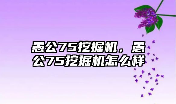 愚公75挖掘機，愚公75挖掘機怎么樣