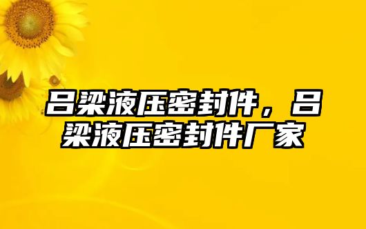 呂梁液壓密封件，呂梁液壓密封件廠家