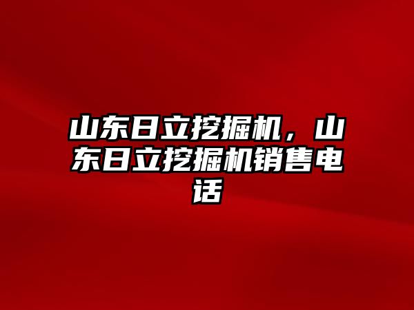 山東日立挖掘機，山東日立挖掘機銷售電話