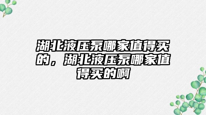 湖北液壓泵哪家值得買的，湖北液壓泵哪家值得買的啊