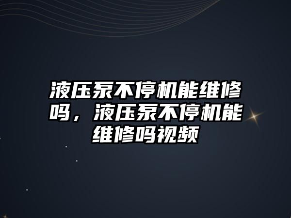 液壓泵不停機能維修嗎，液壓泵不停機能維修嗎視頻