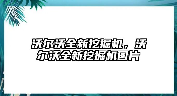 沃爾沃全新挖掘機(jī)，沃爾沃全新挖掘機(jī)圖片