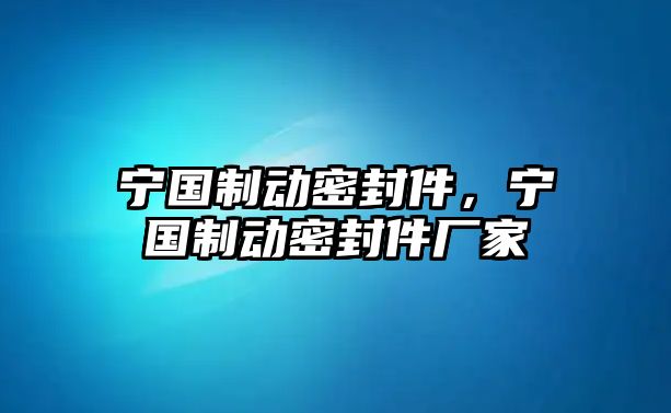 寧國(guó)制動(dòng)密封件，寧國(guó)制動(dòng)密封件廠家