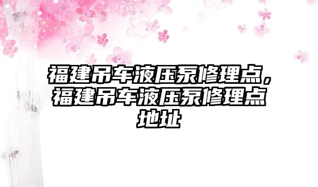 福建吊車液壓泵修理點，福建吊車液壓泵修理點地址