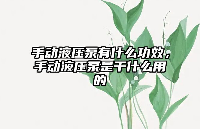 手動液壓泵有什么功效，手動液壓泵是干什么用的