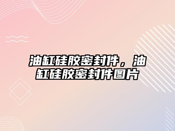 油缸硅膠密封件，油缸硅膠密封件圖片