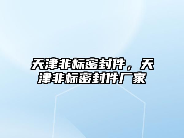 天津非標密封件，天津非標密封件廠家